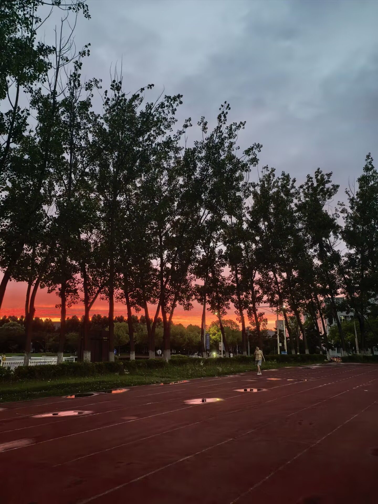 雨后南邮操场映着树木和天边晚霞